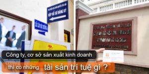 (Tiếng Việt) Công ty nhỏ có tài sản trí tuệ gì không? Hỏi thực tế nhiều người