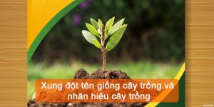 (Tiếng Việt) Xung đột tên giống cây trồng và nhãn hiệu cây trồng