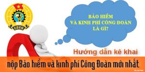 (Tiếng Việt) Hướng dẫn kê khai, nộp bảo hiểm và kinh phí công đoàn mới nhất