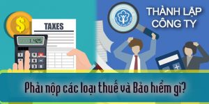 (Tiếng Việt) Phải nộp các loại thuế và bảo hiểm gì khi thành lập công ty?