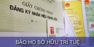 (Tiếng Việt) Bảo hộ sở hữu trí tuệ