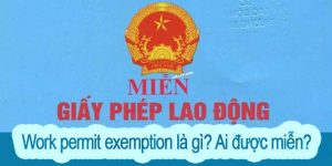 (Tiếng Việt) Work permit exemption là gì? Ai được miễn Work permit?