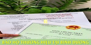 (Tiếng Việt) Đăng ký bảo hộ thương hiệu tại Bình Dương