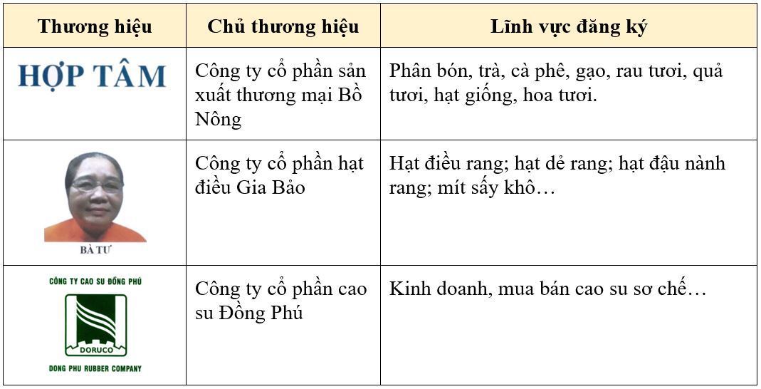 dang-ky-bao-ho-thuong-hieu-tai-binh-phuoc
