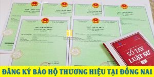 (Tiếng Việt) Đăng ký bảo hộ thương hiệu tại Đồng Nai