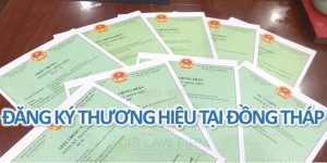 (Tiếng Việt) Đăng ký bảo hộ thương hiệu tại Đồng Tháp