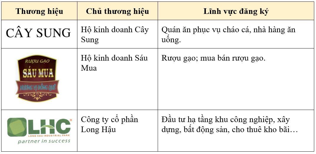 dang-ky-bao-ho-thuong-hieu-tai-long-an