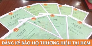 (Tiếng Việt) Đăng ký bảo hộ thương hiệu tại TP. HCM