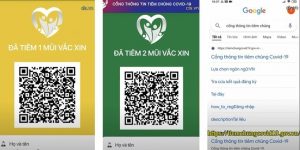 (Tiếng Việt) Cách tra cứu thẻ xanh – thẻ vàng Covid nhanh nhất – không cần tải App