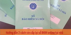 (Tiếng Việt) Hướng dẫn 2 cách xin cấp lại sổ BHXH online tại nhà