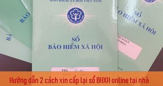 (Tiếng Việt) Hướng dẫn 2 cách xin cấp lại sổ BHXH online tại nhà