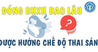 (Tiếng Việt) Đóng bhxh bao lâu được chế độ thai sản? Có được gián đoạn không?