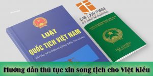 The latest guide to applying for dual citizenship for overseas Vietnamese