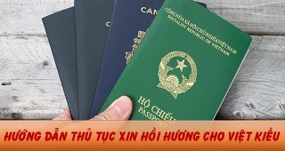 (Tiếng Việt) Hướng dẫn thủ tục xin hồi hương mới nhất cho Việt Kiều