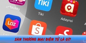 (Tiếng Việt) Website thương mại điện tử là gì? Sàn thương mại điện tử là gì?