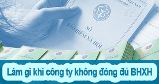 (Tiếng Việt) Cần làm gì khi công ty đóng bảo hiểm xã hội không đầy đủ cho bạn?