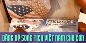 (Tiếng Việt) Thủ tục đăng ký song tịch Việt Nam cho con