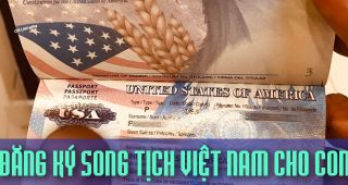 Thủ tục đăng ký song tịch Việt Nam cho con