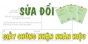 (Tiếng Việt) Thủ tục sửa đổi thông tin trên giấy chứng nhận nhãn hiệu mới nhất 2021