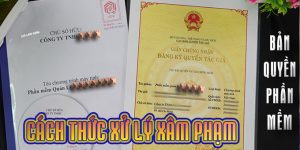 (Tiếng Việt) Hành vi xâm phạm bản quyền phần mềm – Quy định của pháp luật và cách xử lý