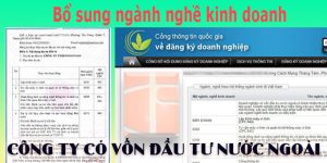Thủ tục bổ sung ngành nghề kinh doanh của công ty có vốn đầu tư nước ngoài
