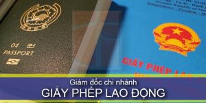 (Tiếng Việt) Hướng dẫn làm Giấy phép lao động cho Giám đốc chi nhánh