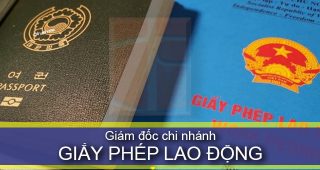 (Tiếng Việt) Hướng dẫn làm Giấy phép lao động cho Giám đốc chi nhánh