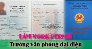 (Tiếng Việt) Hướng dẫn làm work permit cho Trưởng văn phòng đại diện nước ngoài