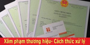 (Tiếng Việt) Xâm phạm thương hiệu và cách thức xử lý