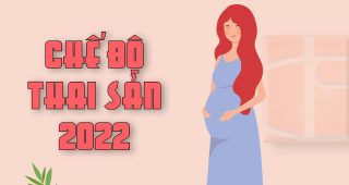 (Tiếng Việt) Hướng dẫn thủ tục hưởng chế độ thai sản năm 2022