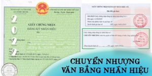(Tiếng Việt) Thủ tục chuyển nhượng văn bằng nhãn hiệu mới nhất 2022