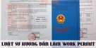 (Tiếng Việt) Work permit – Luật sư hướng dẫn làm work permit