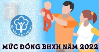(Tiếng Việt) Mức đóng Bảo hiểm xã hội năm 2022