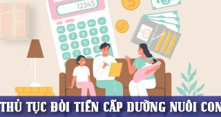 (Tiếng Việt) Thủ tục đòi tiền cấp dưỡng nuôi con năm 2022