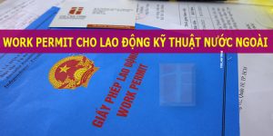(Tiếng Việt) Hướng dẫn làm work permit cho lao động kỹ thuật nước ngoài làm việc tại Việt Nam