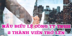 (Tiếng Việt) Mẫu điều lệ Công ty TNHH hai thành viên trở lên 2022