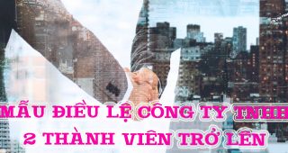 (Tiếng Việt) Mẫu điều lệ Công ty TNHH hai thành viên trở lên 2022