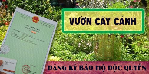 (Tiếng Việt) Thủ tục đăng ký bảo hộ độc quyền tên vườn cây cảnh