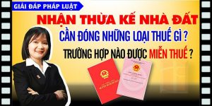 (Tiếng Việt) Thừa kế nhà đất có phải nộp thuế không?