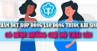 (Tiếng Việt) Chấm dứt hợp đồng lao động trước khi sinh có được hưởng chế độ thai sản không?