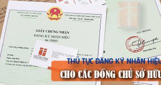 (Tiếng Việt) Thủ tục đăng ký nhãn hiệu cho các đồng chủ sở hữu
