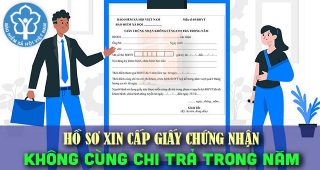 (Tiếng Việt) Hồ sơ xin cấp giấy chứng nhận không cùng chi trả trong năm