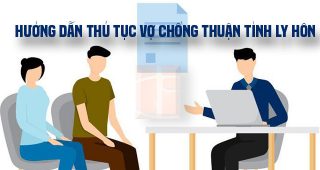 (Tiếng Việt) Hướng dẫn thủ tục vợ chồng thuận tình ly hôn năm 2023