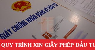 (Tiếng Việt) Quy trình xin giấy phép đầu tư tại thành phố hồ chí minh năm 2023