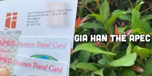(Tiếng Việt) Hướng dẫn gia hạn thẻ Apec năm 2023