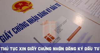 (Tiếng Việt) Hướng dẫn thủ tục xin giấy chứng nhận đăng ký đầu tư tại Thành phố Hồ Chí Minh năm 2023