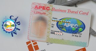 Thủ tục xin cấp lại thẻ Apec ở Đồng Nai năm 2023