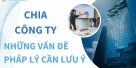 (Tiếng Việt) Chia công ty – Những vấn đề pháp lý cần lưu ý