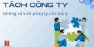 (Tiếng Việt) Tách công ty – Những vấn đề pháp lý cần lưu ý