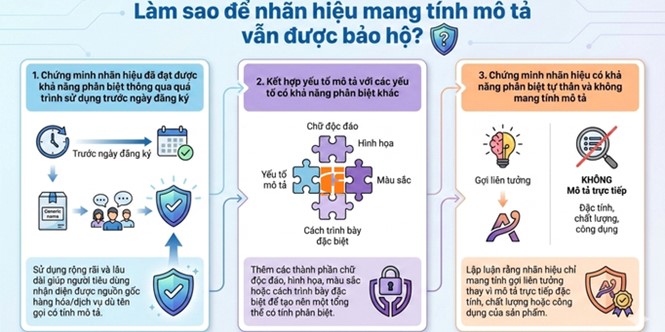 tra-loi-tham-dinh-noi-dung-nhan-hieu